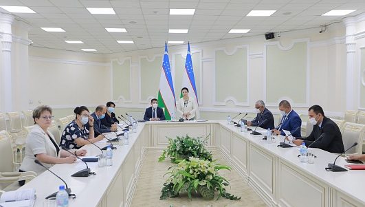 Nogironligi bo'lgan shaxslarning huquqiy himoyasi: milliy va xorijiy tajriba