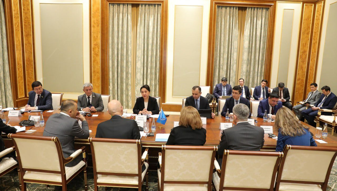 Senat Raisi BMT Inson huquqlari bo‘yicha Oliy komissari bilan uchrashdi