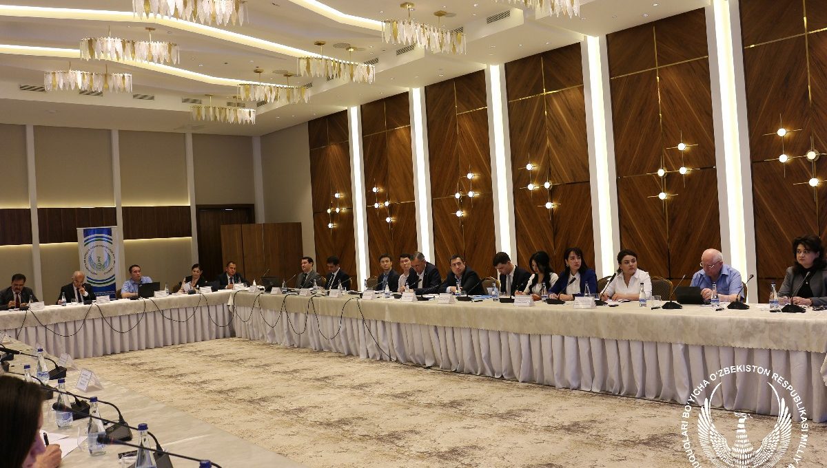 Nogironlar huquqlari to‘g‘risidagi konvensiya qoidalarini amalga oshirishda davlat organlarining roli