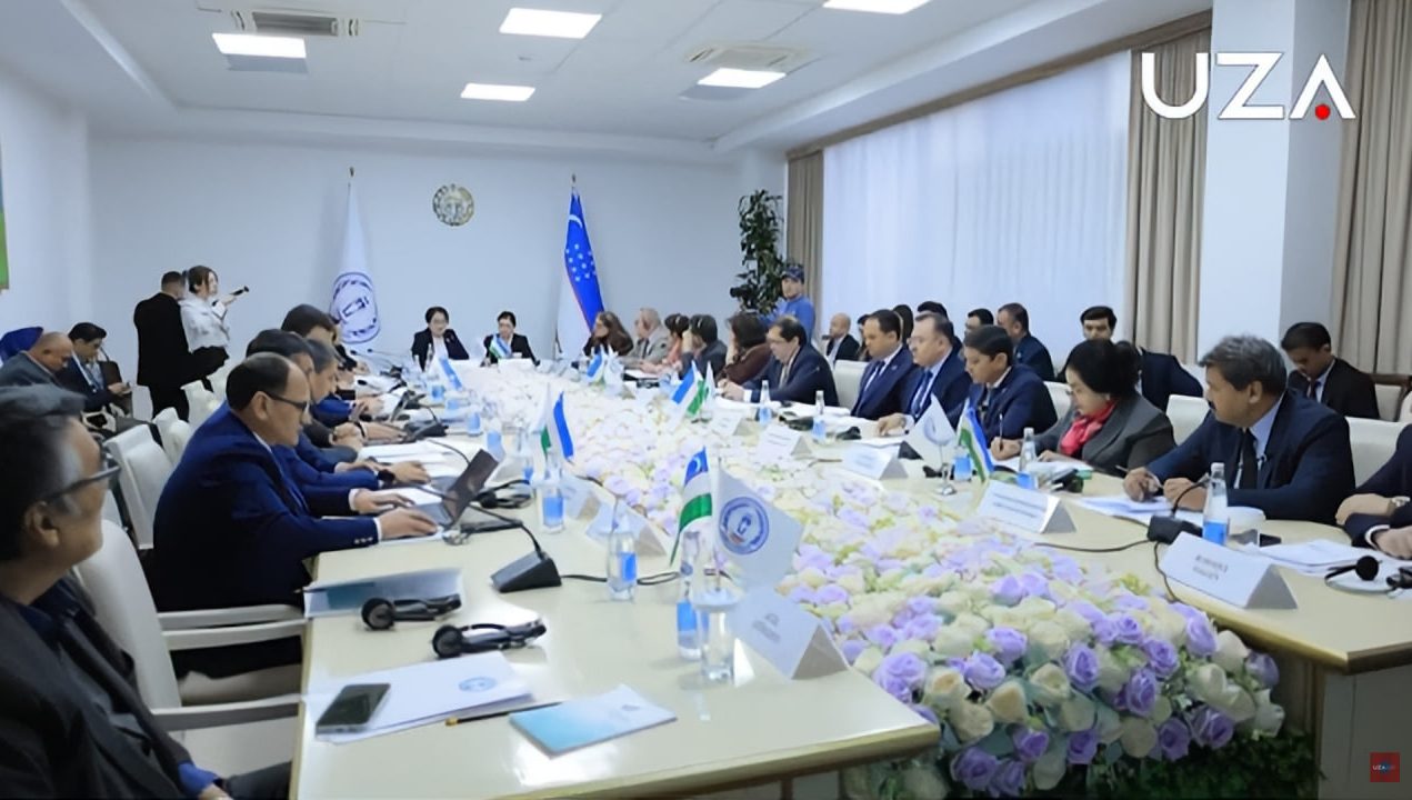 Konstitutsiya va deklaratsiya: Inson huquqlarini oliy qadriyatga aylantirgan hujjatlar (+video)