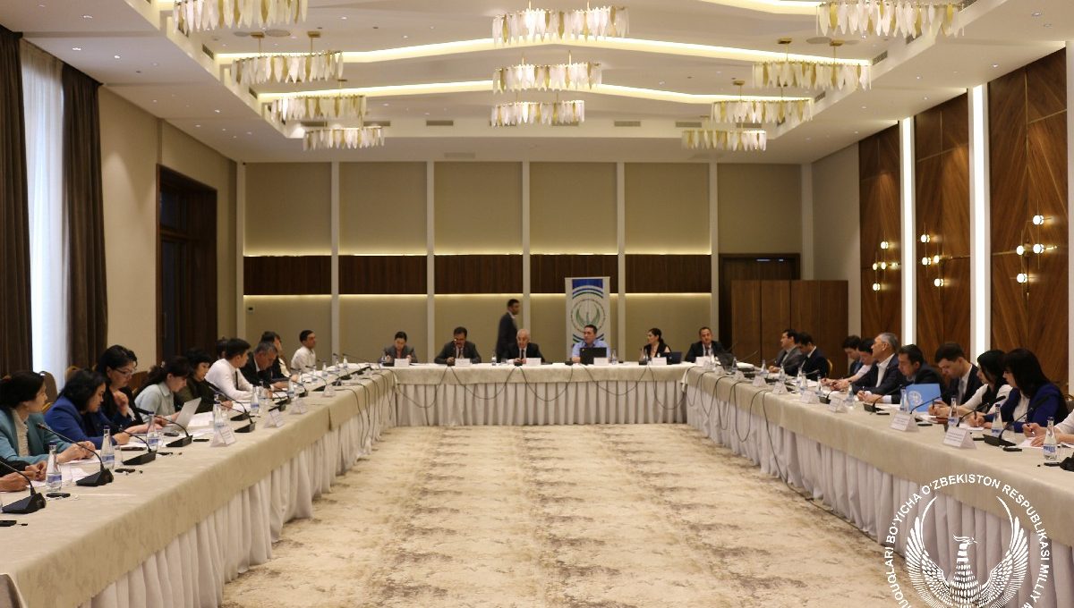 Nogironlar huquqlari to‘g‘risidagi konvensiya qoidalarini amalga oshirishda davlat organlarining roli