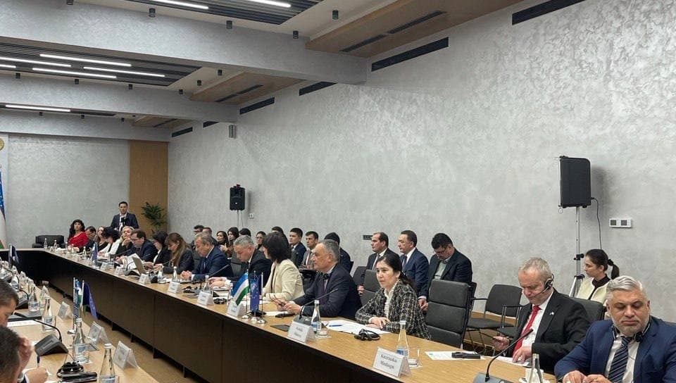 Demokratiya va inson huquqlari: barqaror rivojlanish omillari