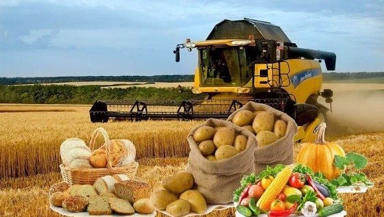 Yangi O‘zbekiston – xorijliklar nigohida