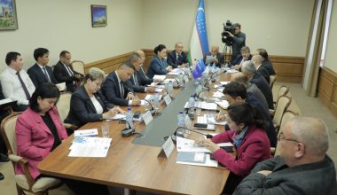 Xavfsiz, tartibli va qonunniy migratsiya borasidagi ishlar xalqaro tashkilotlar e’tirofida