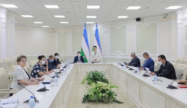 Ногиронлиги бўлган шахсларнинг ҳуқуқий ҳимояси: миллий ва хорижий тажриба