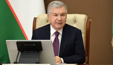 Рассмотрен новый порядок восстановления и использования пастбищ