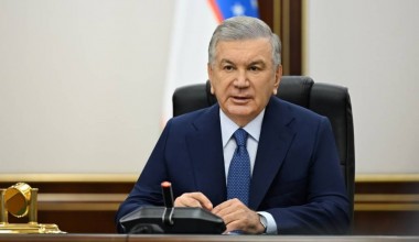 Рассмотрены возможности развития агропромышленности в Сырдарьинской области