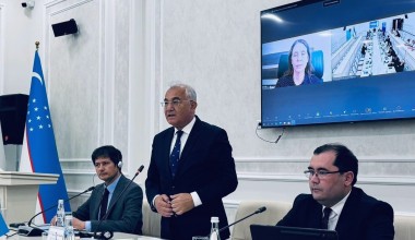 UN Human Rights Central Asia facilitates dialogue on the implementation in Uzbekistan of Treaty Bodies’ views and Special Procedures’ recommendations in individual cases