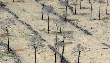 Олимлар экстремал жазирамаларнинг асосий айбдорларини аниқлади