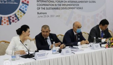 Участие институтов гражданского общества и общественности в реализации ЦУР