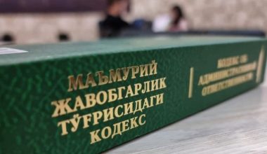 Muayyan yashash joyiga ega bo‘lmagan shaxslar va insonparvarlik tamoyili