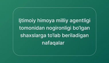 O‘zbekistonda nogironligi bo‘lgan shaxslar uchun qanday nafaqa va to‘lov turlari mavjud va ularning miqdori qanday?
