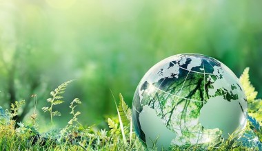 3 март – Бутунжаҳон ёввойи табиат куни