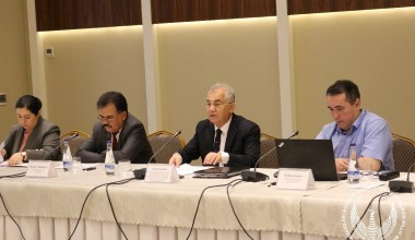 Ногиронлар ҳуқуқлари тўғрисидаги конвенция қоидаларини амалга оширишда давлат органларининг роли