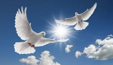 Тинчлик – олий неъмат 