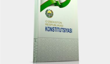 INSONPARVAR VA XALQCHIL KONSTITUTSIYA