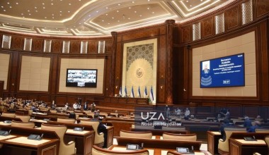 Болалар масалалари бўйича миллий комиссия фаолияти – сенаторлар муҳокамасида