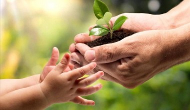 Экологик маданият — экологик барқарорликка замин