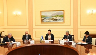 Олий Мажлис Сенати Раисининг БМТ Махсус маърузачиси билан учрашуви бўлиб ўтди