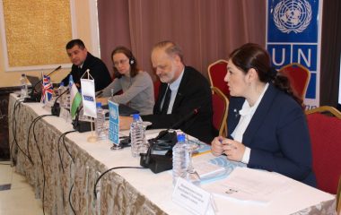 “Next steps to implement the recommendations of the UN Committee against Torture”